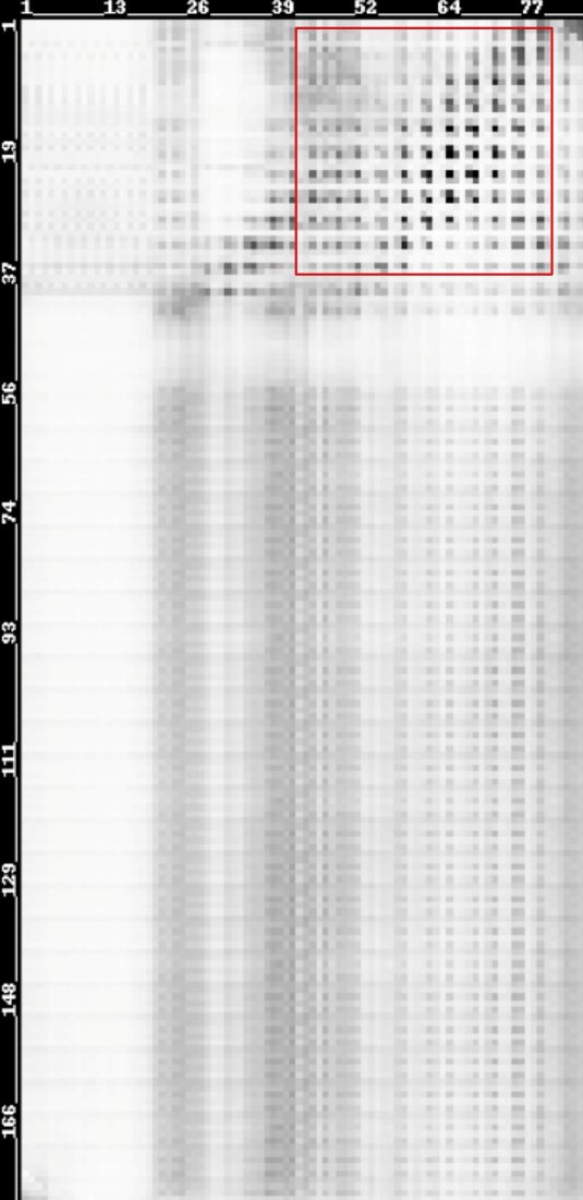 Figure 7. Predicted contact map of “core” and “shell” membrane